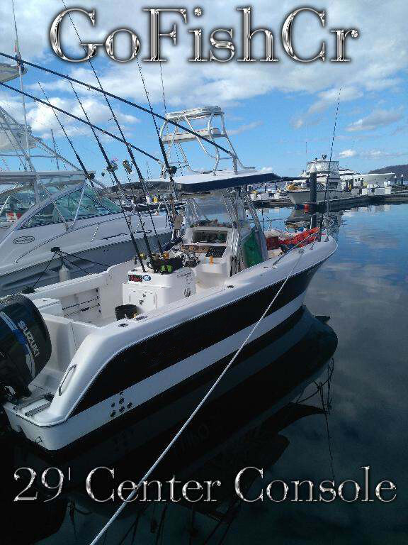 29ft Center Console