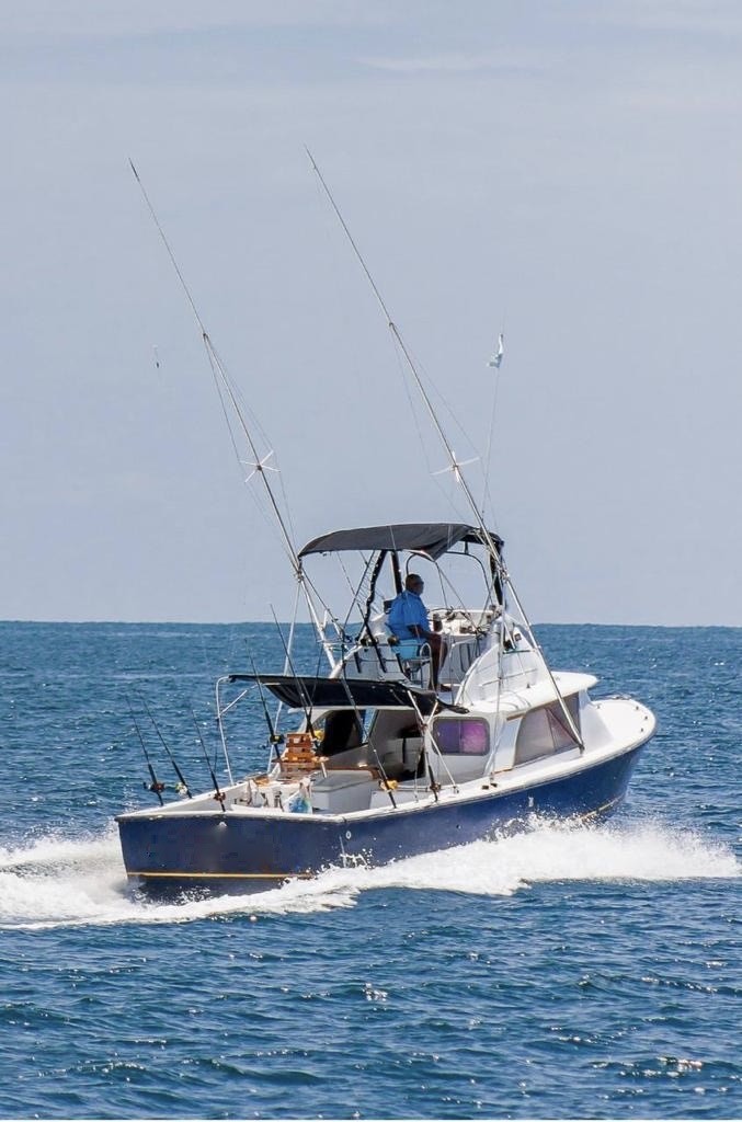 31ft Bertram Classic