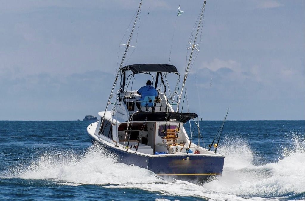 31ft Bertram Classic