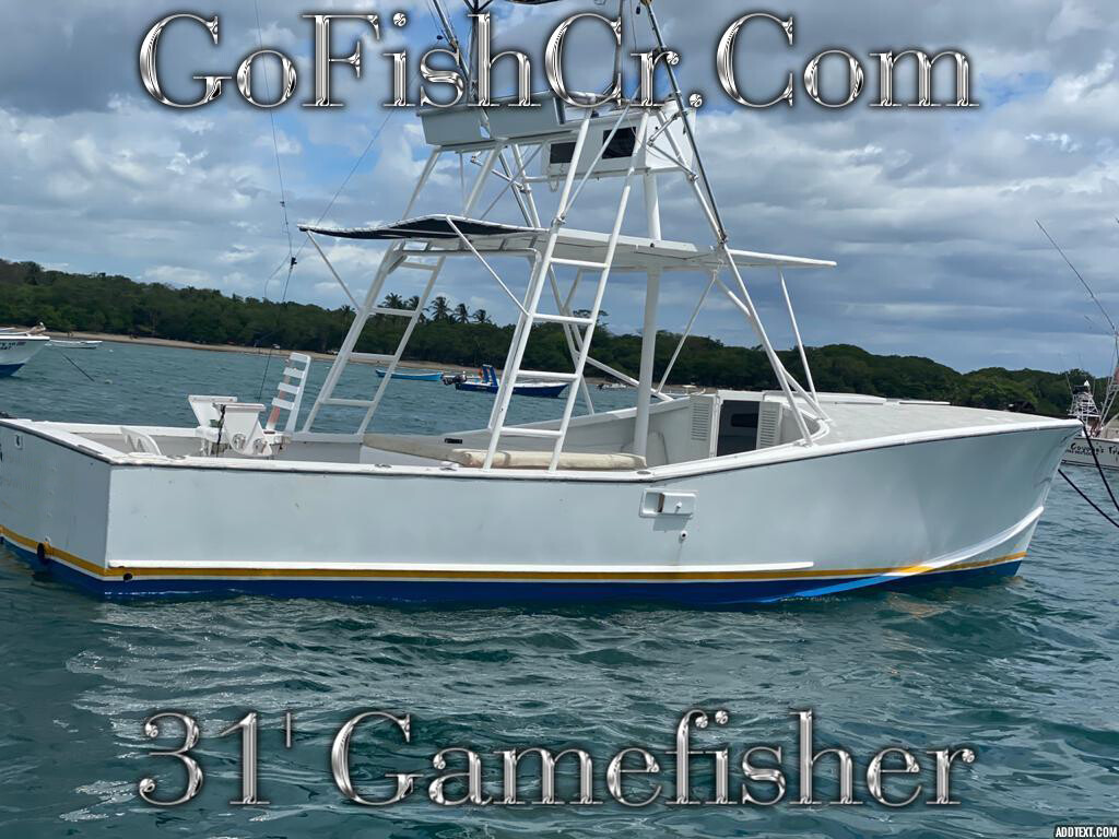 31ft Gamefisher II