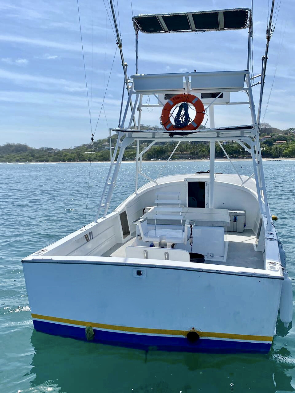 31ft Gamefisher II