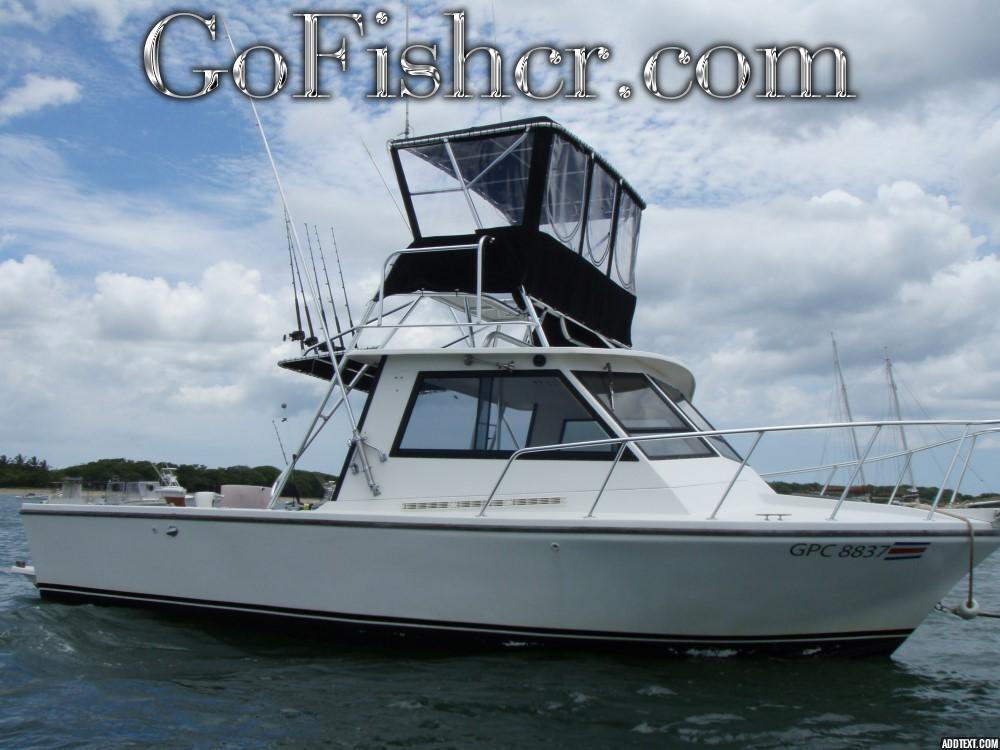 31' Island Hopper