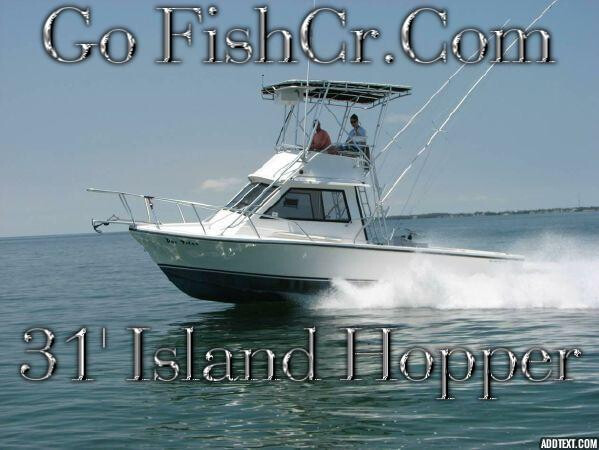 31' Island Hopper