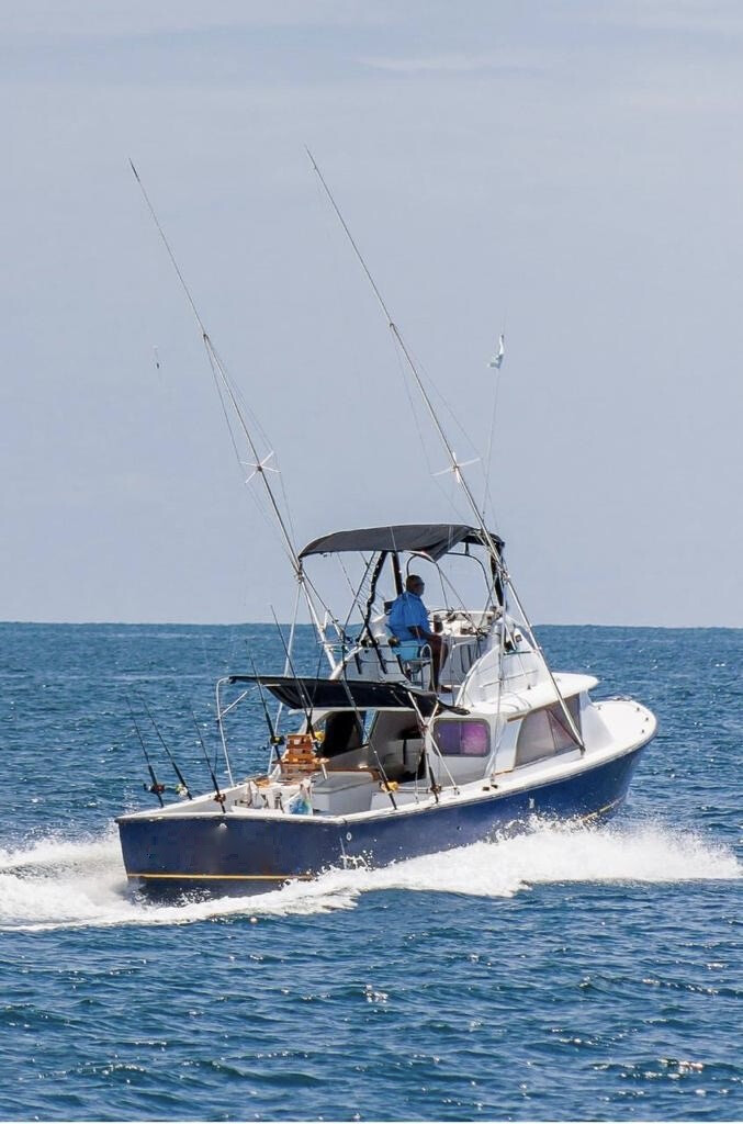 31ft Bertram Classic