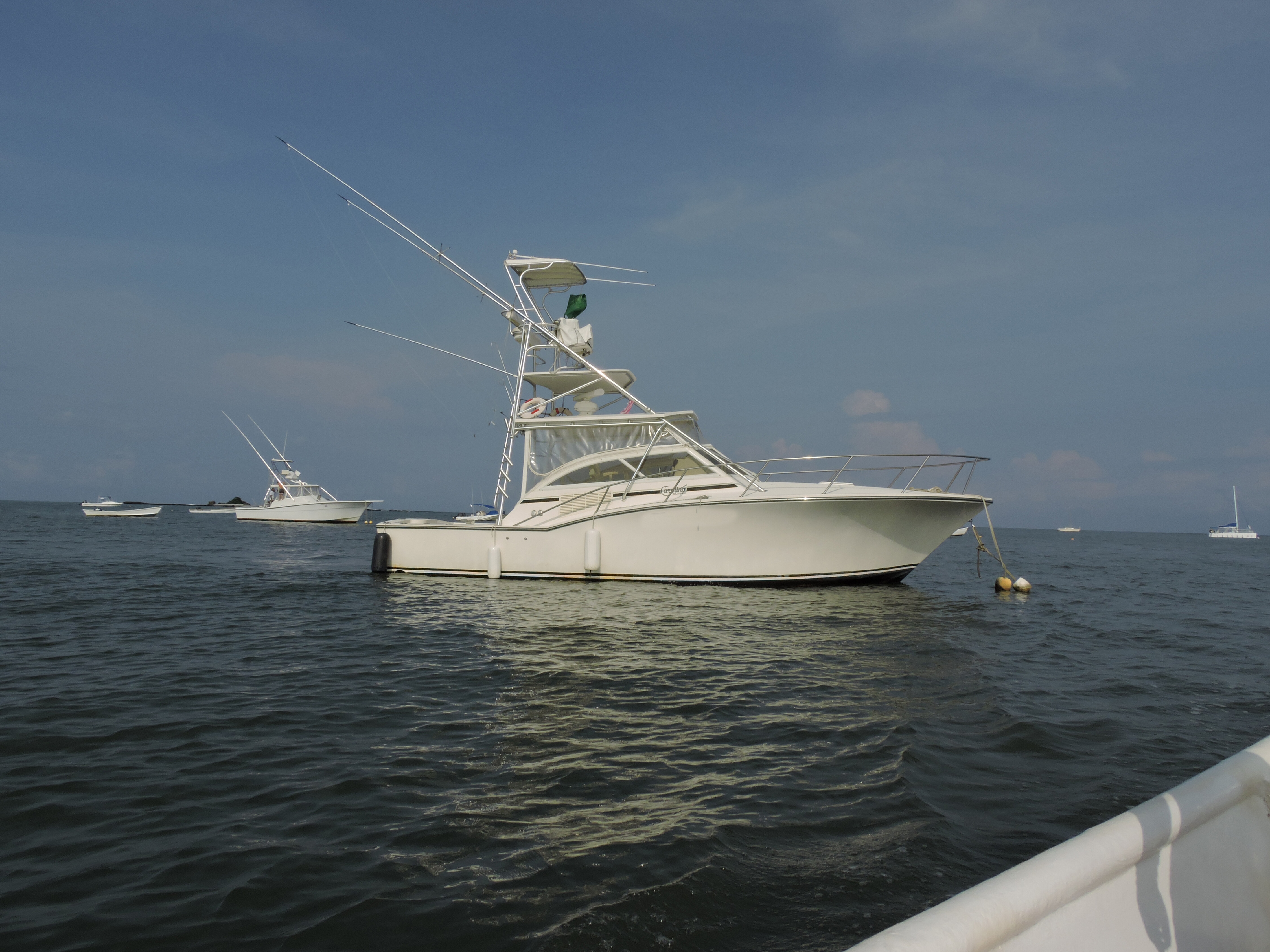 35ft Carolina Classic