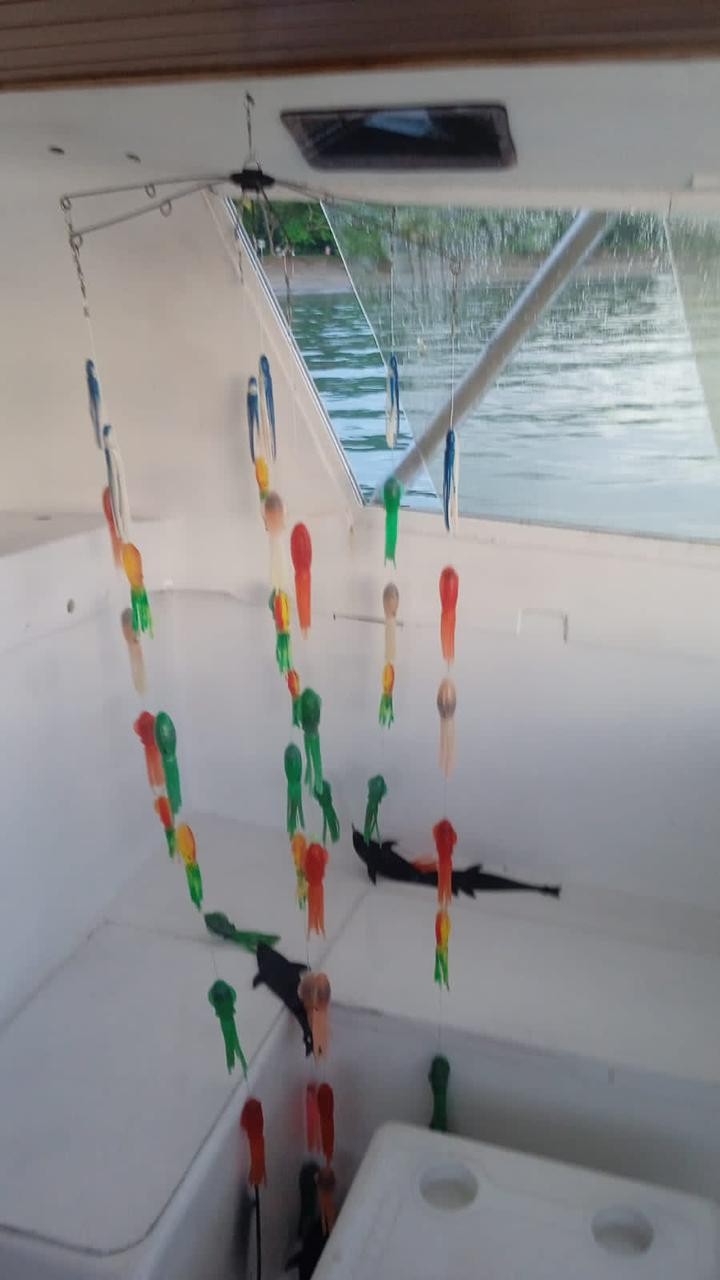 31ft Bertram Classic Lounge