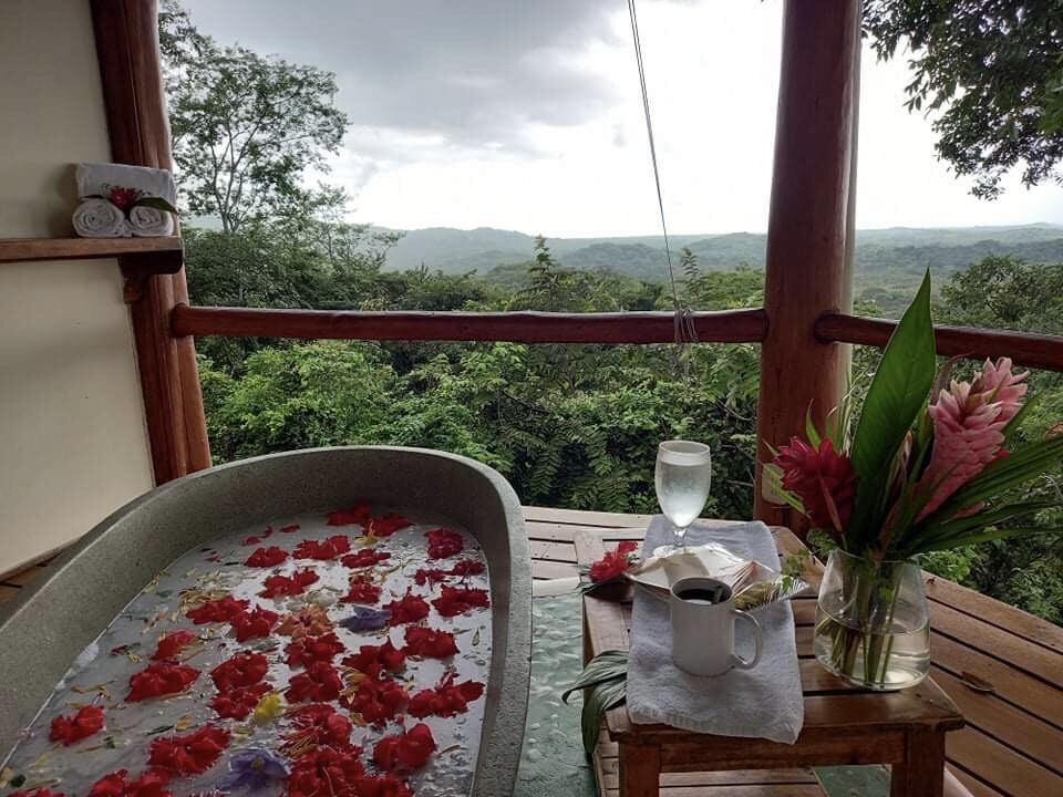 Bathtub on a deck surrounded by rain forest