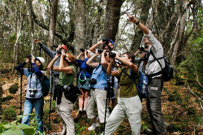 Birdwatching Tour Costa Rica