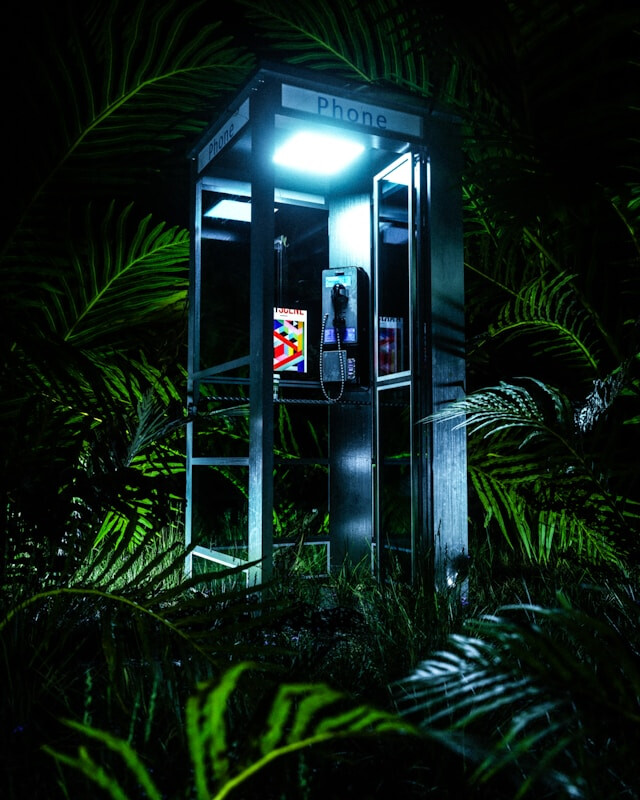Phone booth in rain forest
