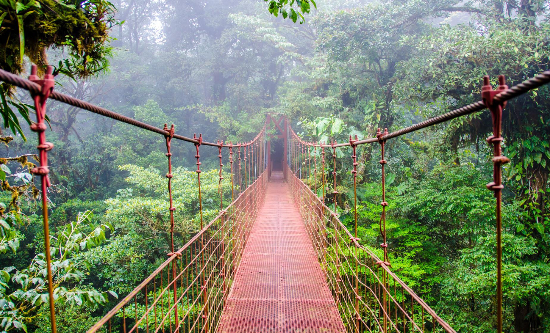 Monteverde Cloud Forest Costa Rica