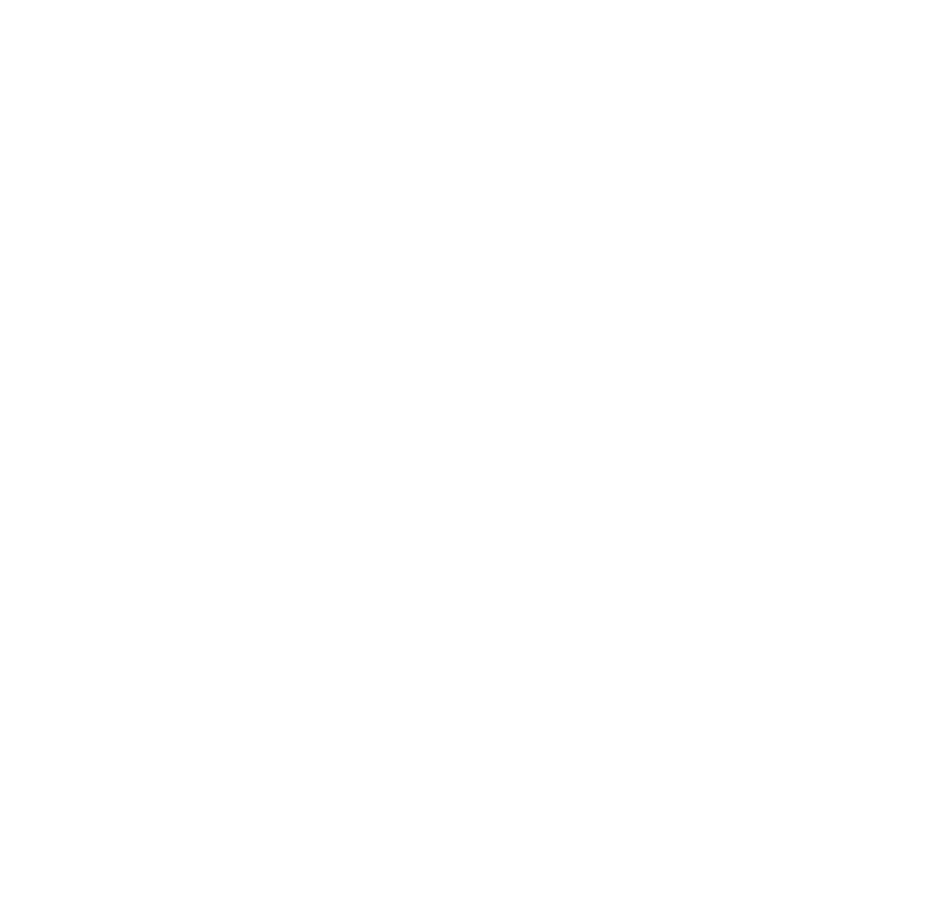 Trip Advisor Travelers Choice