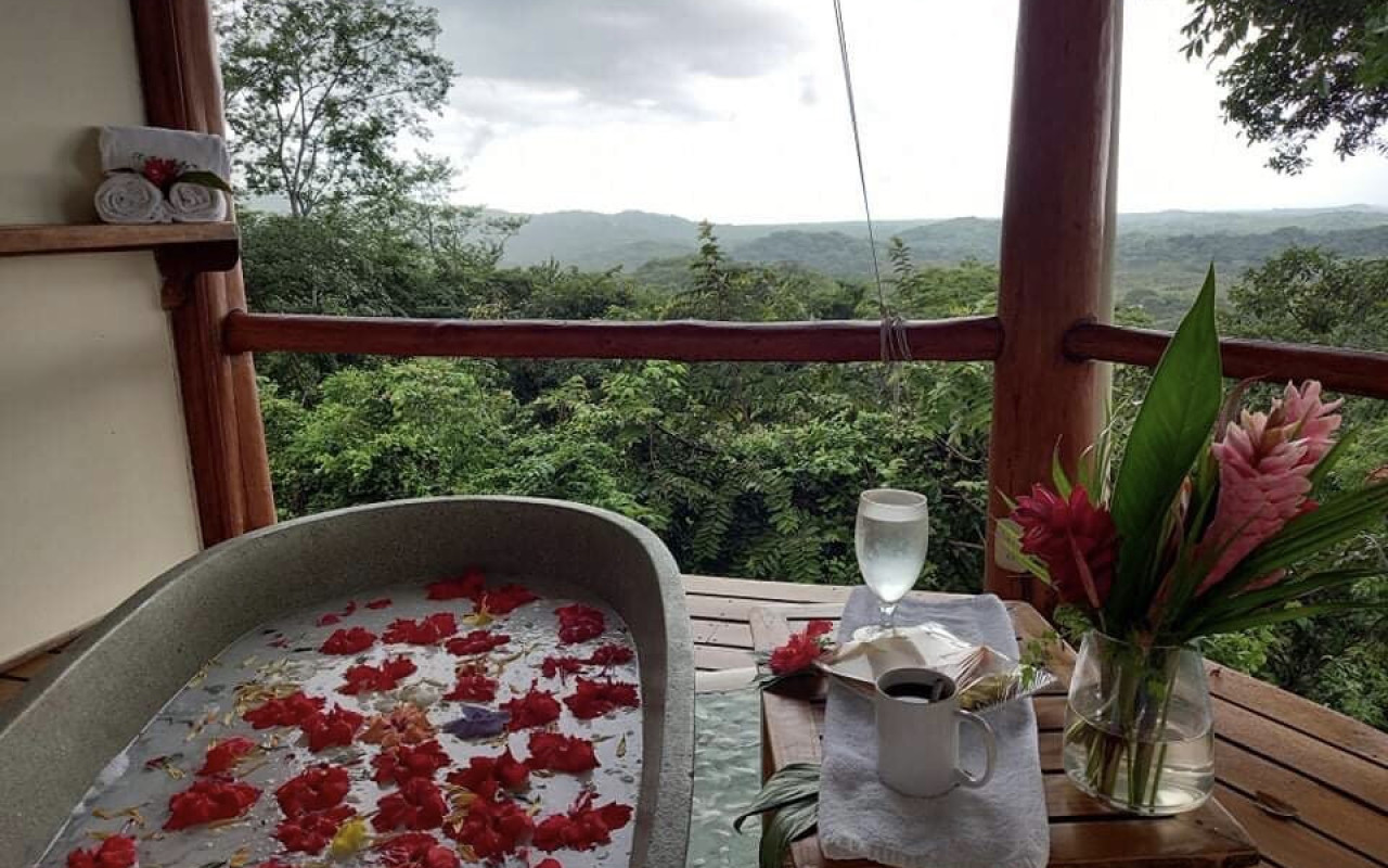 Bathtub on a deck surrounded by rain forest