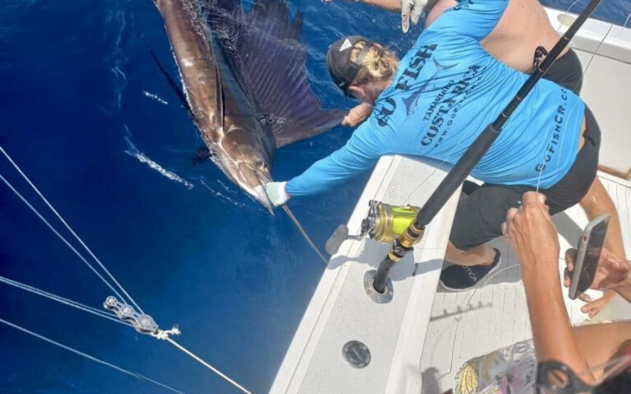 Crew member and man catching Marlin from boat