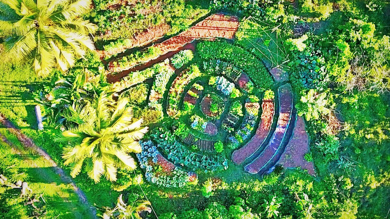 Organic Gardening Costa Rica Guanacaste