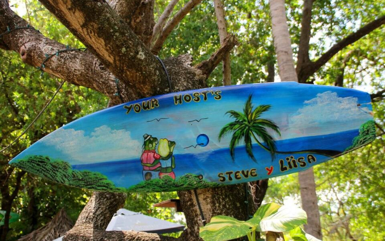 Surfboard nailed to true with artwork